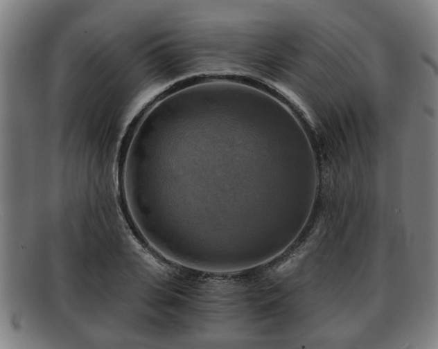 X0000091850935200709121307