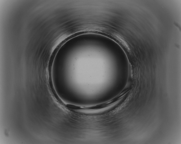 X0000091850936200709121308
