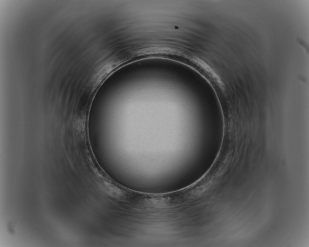 X0000091850937200709121308
