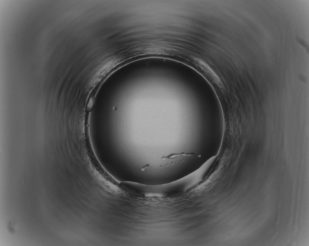 X0000091850938200709121308