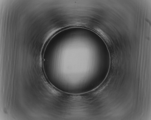 X0000091850940200709121308