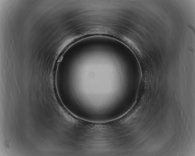 X0000091850942200709121308