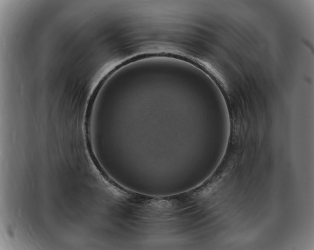 X0000091850943200709121308