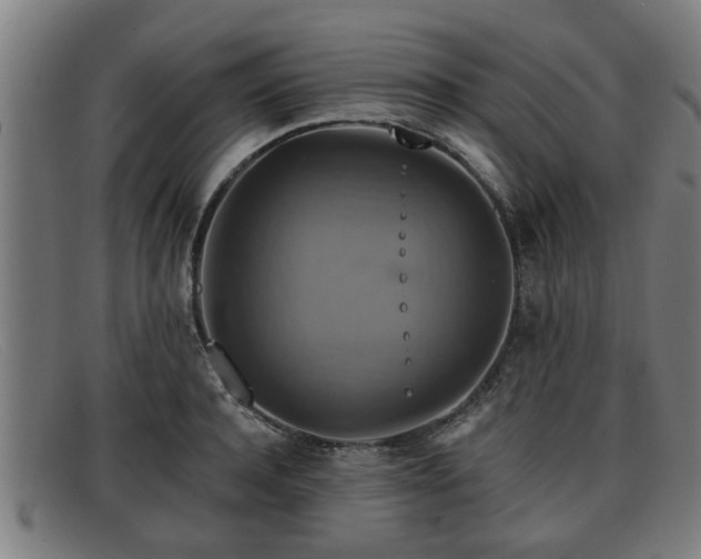 X0000091850944200709121308
