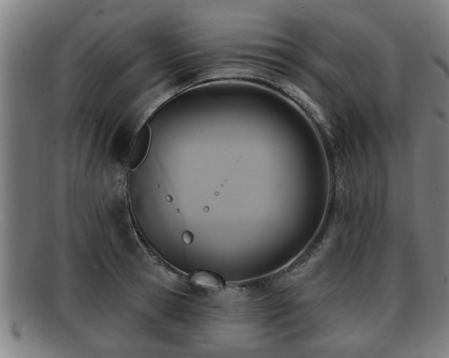 X0000091850945200709121308