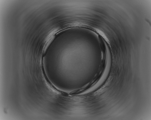 X0000091850946200709121308