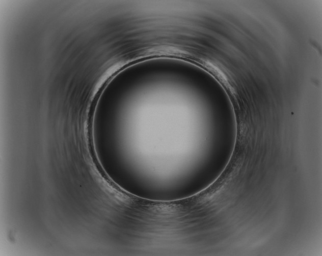 X0000091850947200709121308