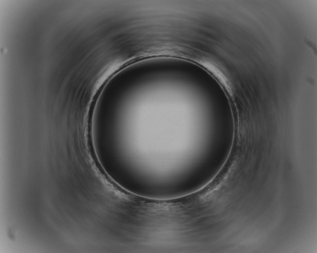 X0000091850949200709121308