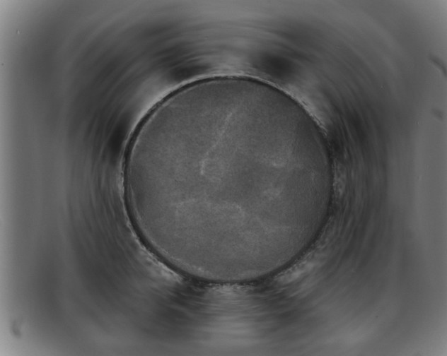 X0000091850950200709121308