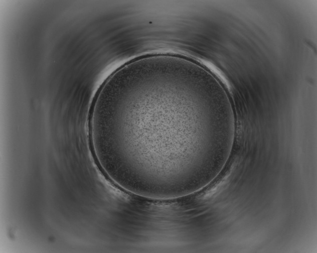 X0000091850951200709121308
