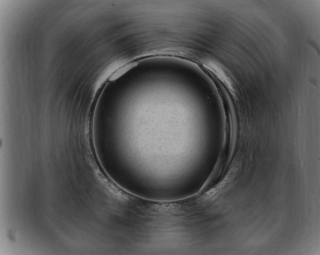 X0000091850952200709121308