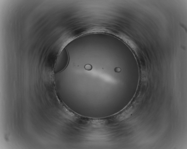 X0000091850953200709121308