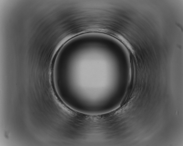 X0000091850955200709121308