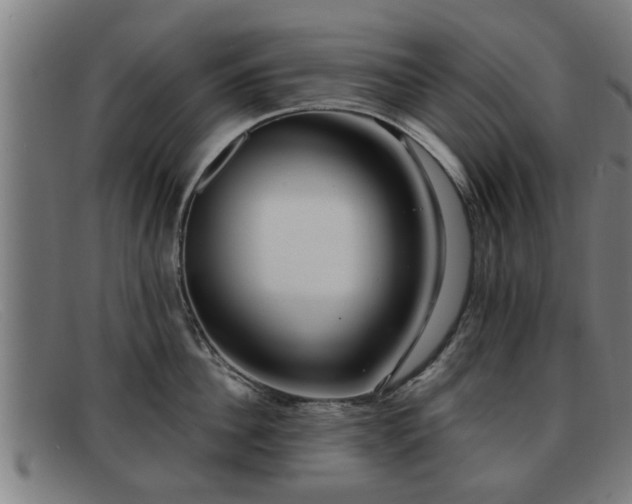 X0000091850956200709121308