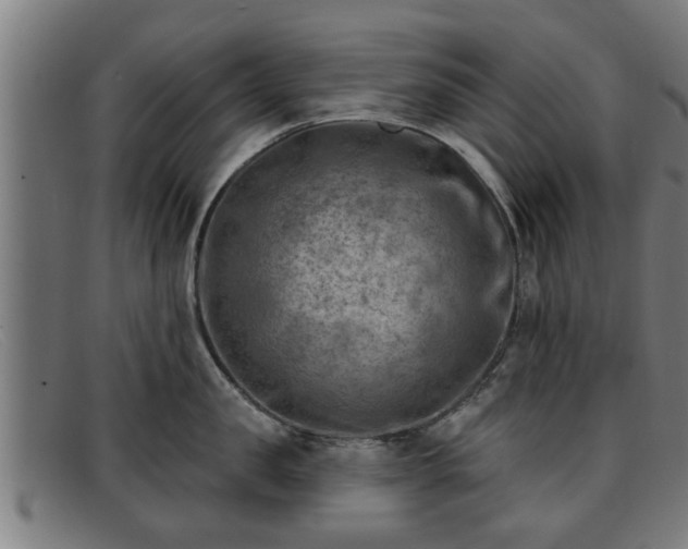 X0000091850957200709121308