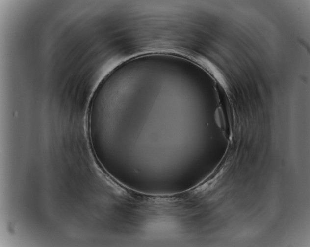 X0000091850958200709121308