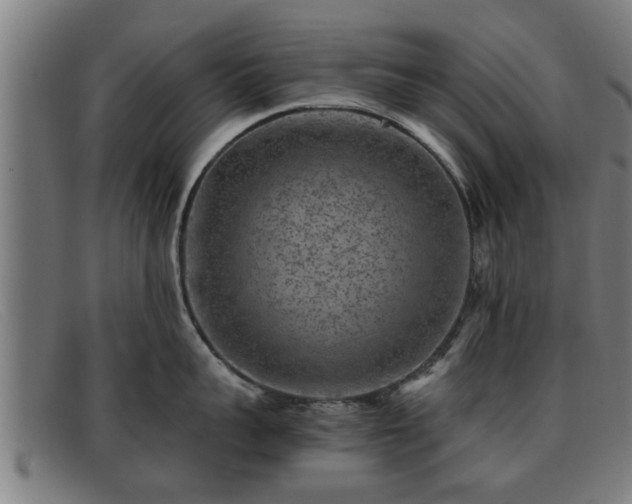 X0000091850959200709121308