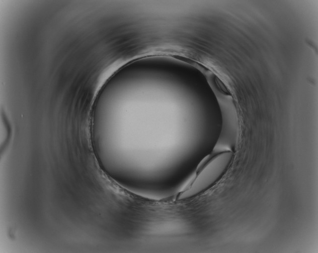 X0000091850960200709121308