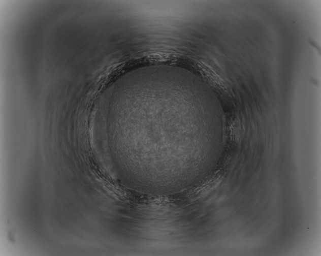 X0000091850961200709121307