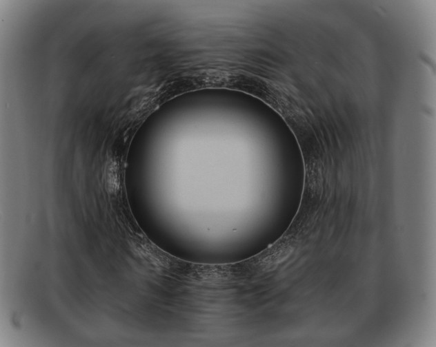 X0000091850962200709121307