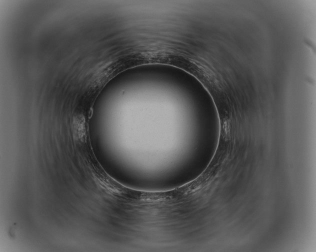 X0000091850963200709121307