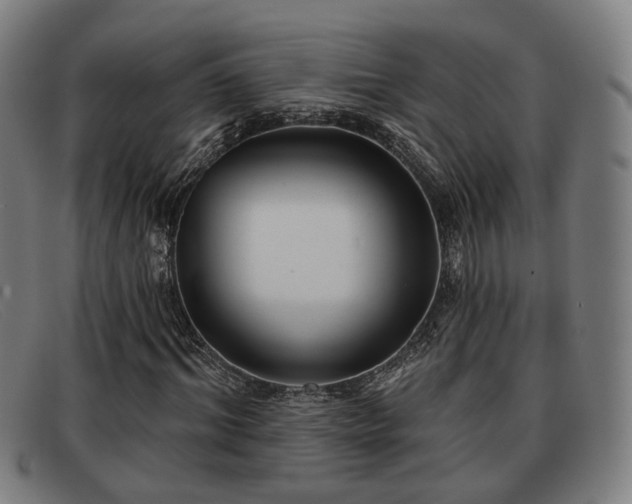 X0000091850964200709121307