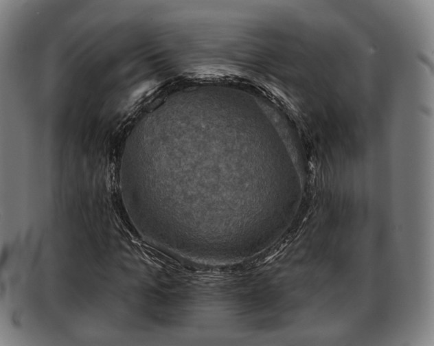 X0000091850965200709121307
