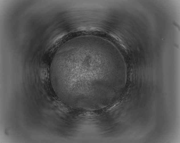 X0000091850966200709121307