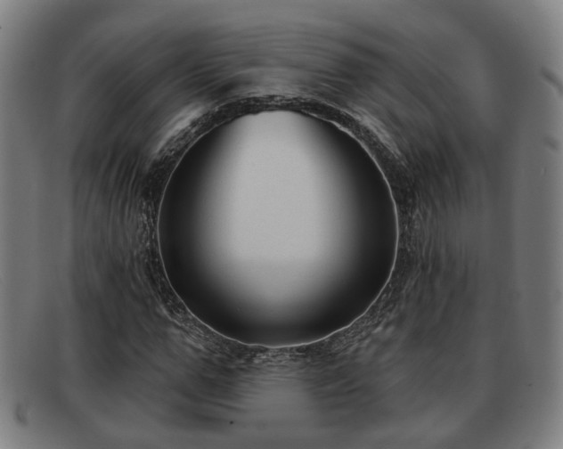 X0000091850967200709121307