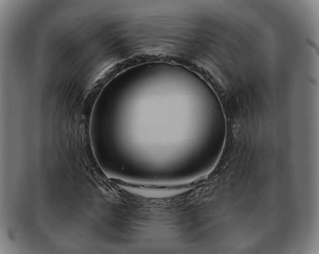 X0000091850968200709121307