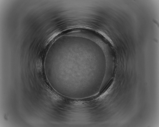 X0000091850969200709121307