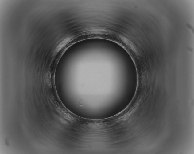 X0000091850970200709121307