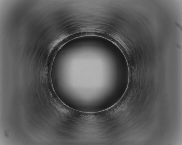 X0000091850971200709121307