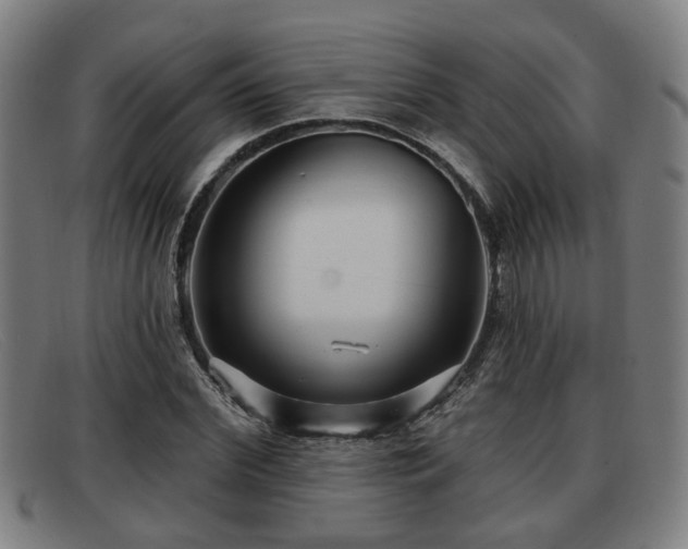 X0000091850972200709121307