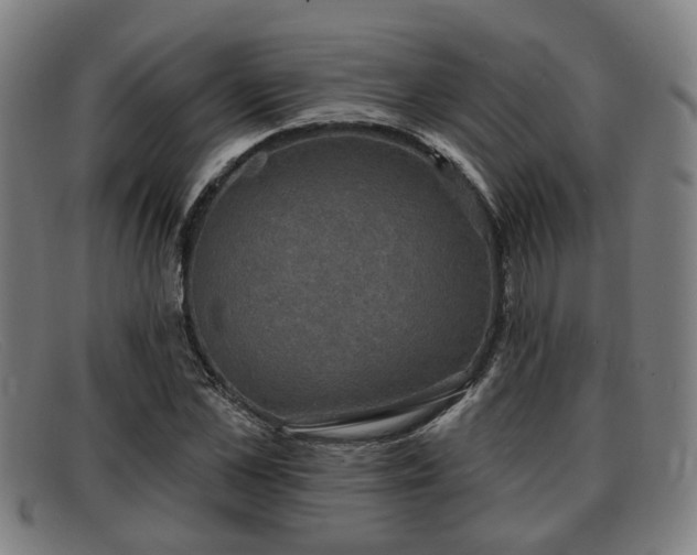 X0000091850973200709121307