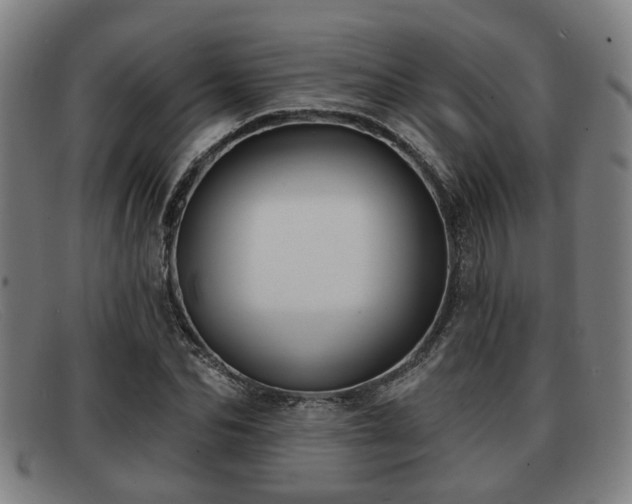 X0000091850974200709121307