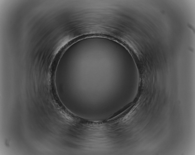 X0000091850975200709121307