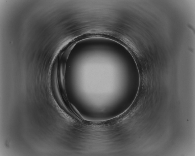 X0000091850976200709121307