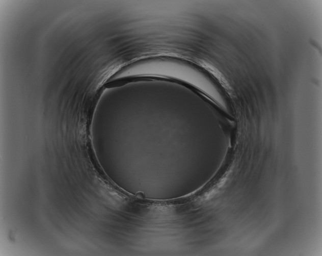 X0000091850977200709121307