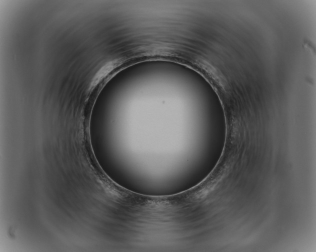 X0000091850978200709121307