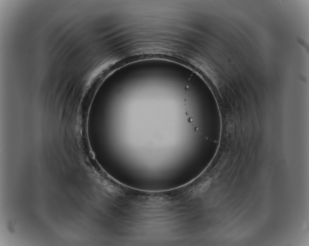 X0000091850979200709121307