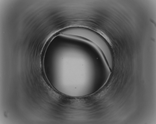 X0000091850980200709121307
