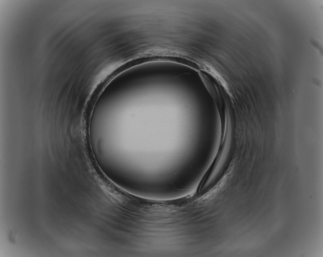 X0000091850981200709121307