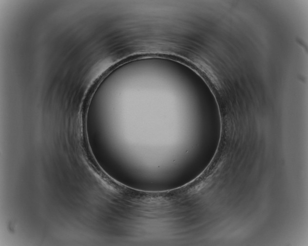 X0000091850982200709121307