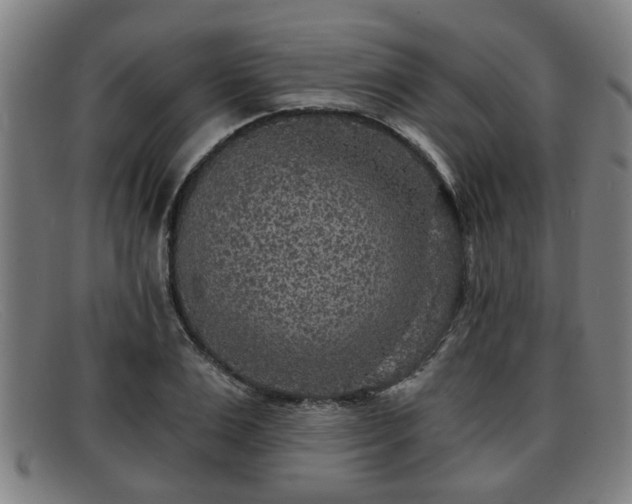 X0000091850983200709121307