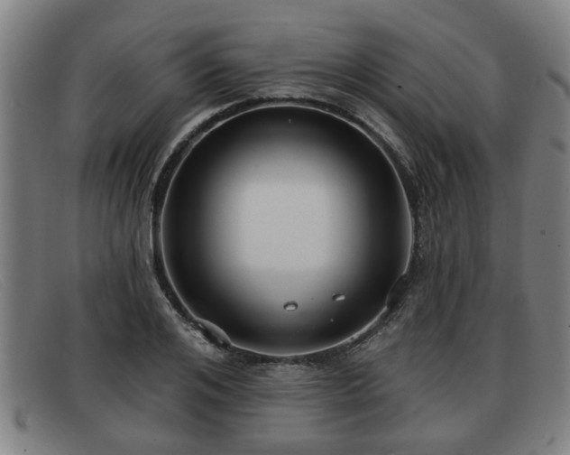 X0000091850984200709121307