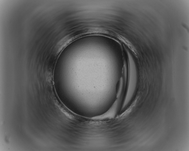 X0000091850985200709121307