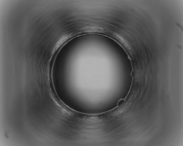 X0000091850986200709121307
