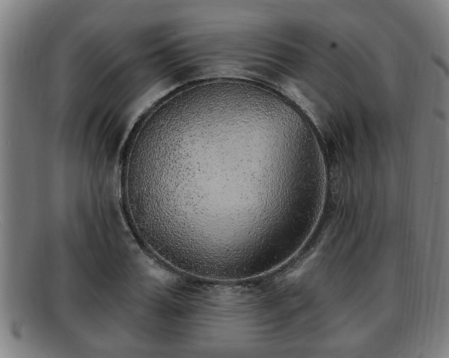 X0000091850987200709121307
