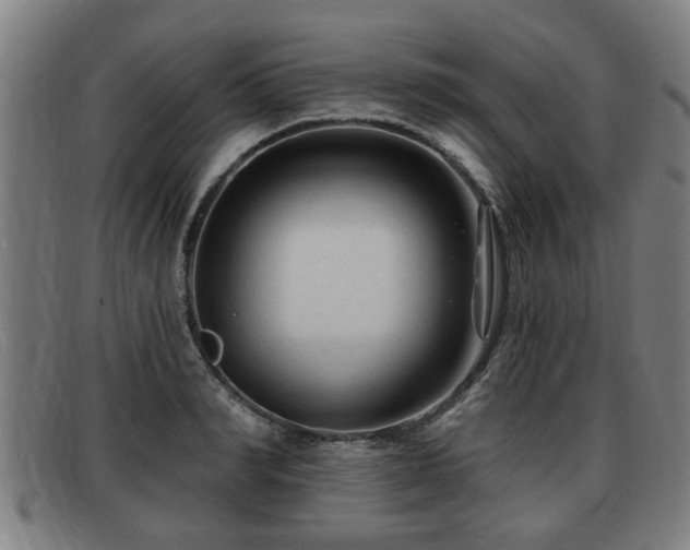 X0000091850990200709121307
